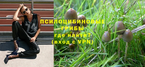 дживик Беломорск
