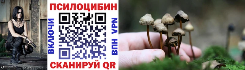 Псилоцибиновые грибы Psilocybe  Купить закладки  Коряжма 